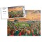 The Oval Stadium Fine Art Jigsaw Puzzle - Glentoran FC